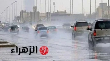 جهزوا الشماسي.. الأرصاد تحذر من تقلبات الطقس وعودة الأمطار غدًا في هذه المحافظات 1